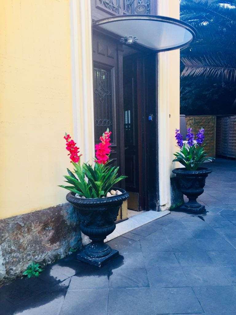 C Luxury Palace And 3*